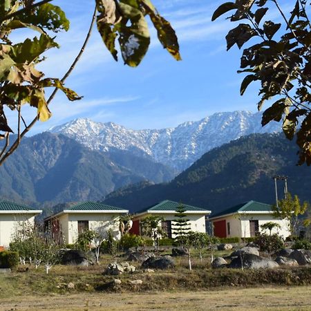 Dhauladhar View Village Resort Dharamshala Eksteriør billede