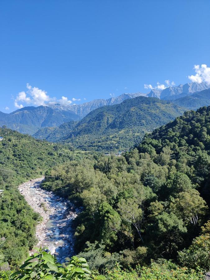 Dhauladhar View Village Resort Dharamshala Eksteriør billede