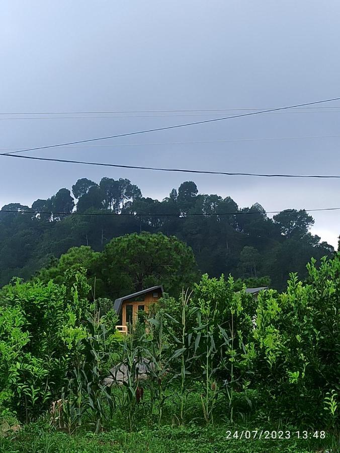 Dhauladhar View Village Resort Dharamshala Eksteriør billede