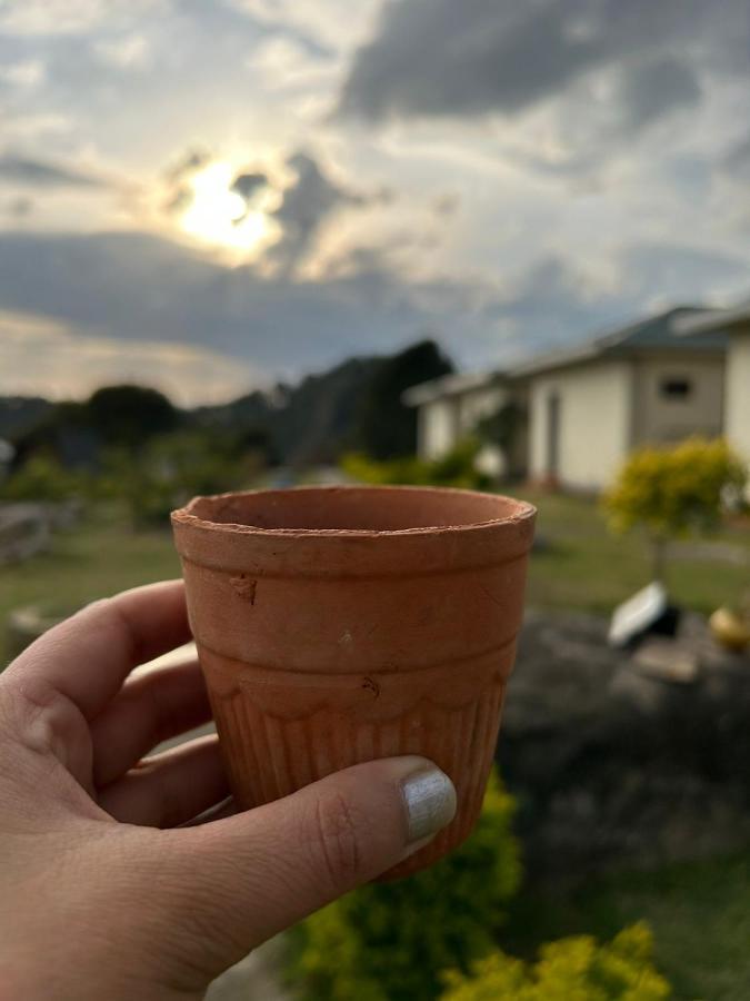 Dhauladhar View Village Resort Dharamshala Eksteriør billede