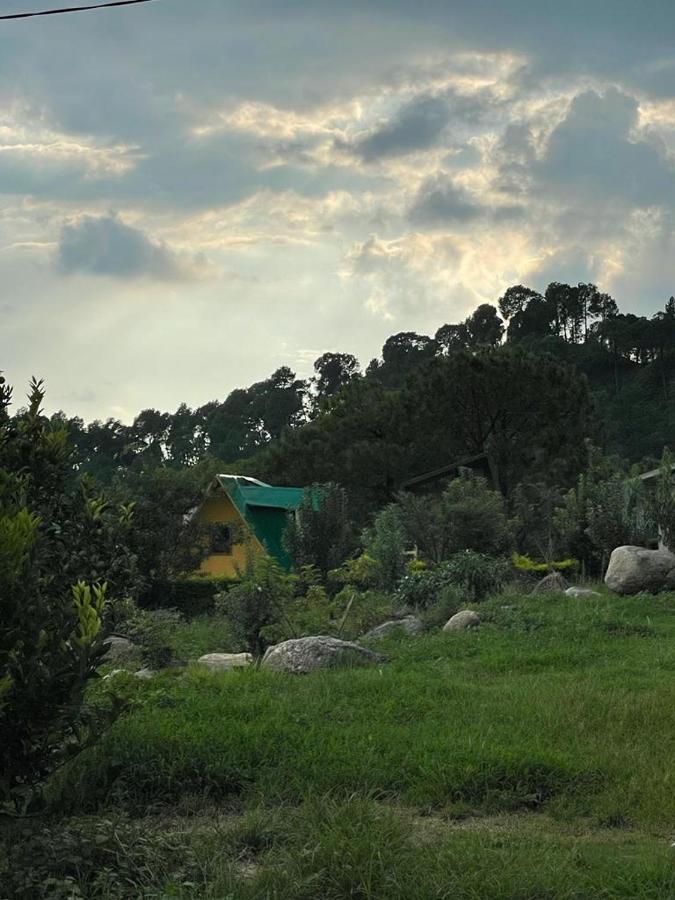 Dhauladhar View Village Resort Dharamshala Eksteriør billede