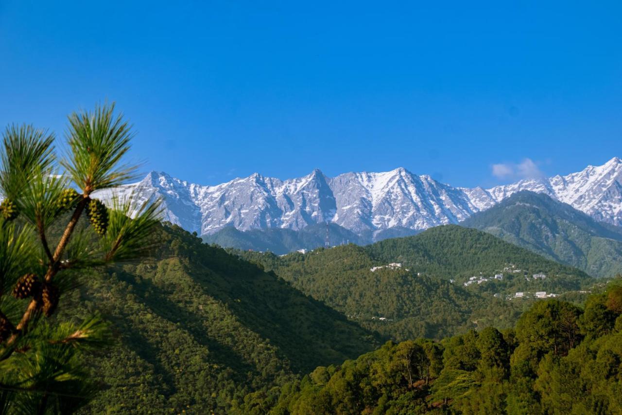 Dhauladhar View Village Resort Dharamshala Eksteriør billede
