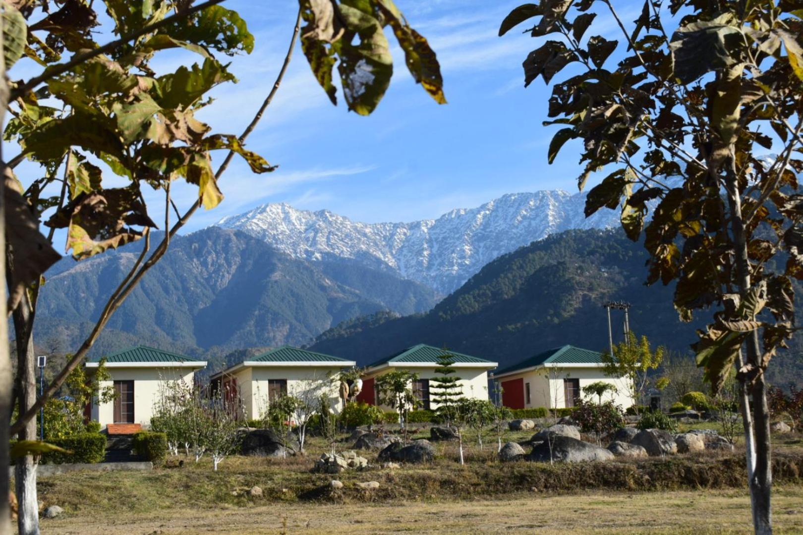 Dhauladhar View Village Resort Dharamshala Eksteriør billede